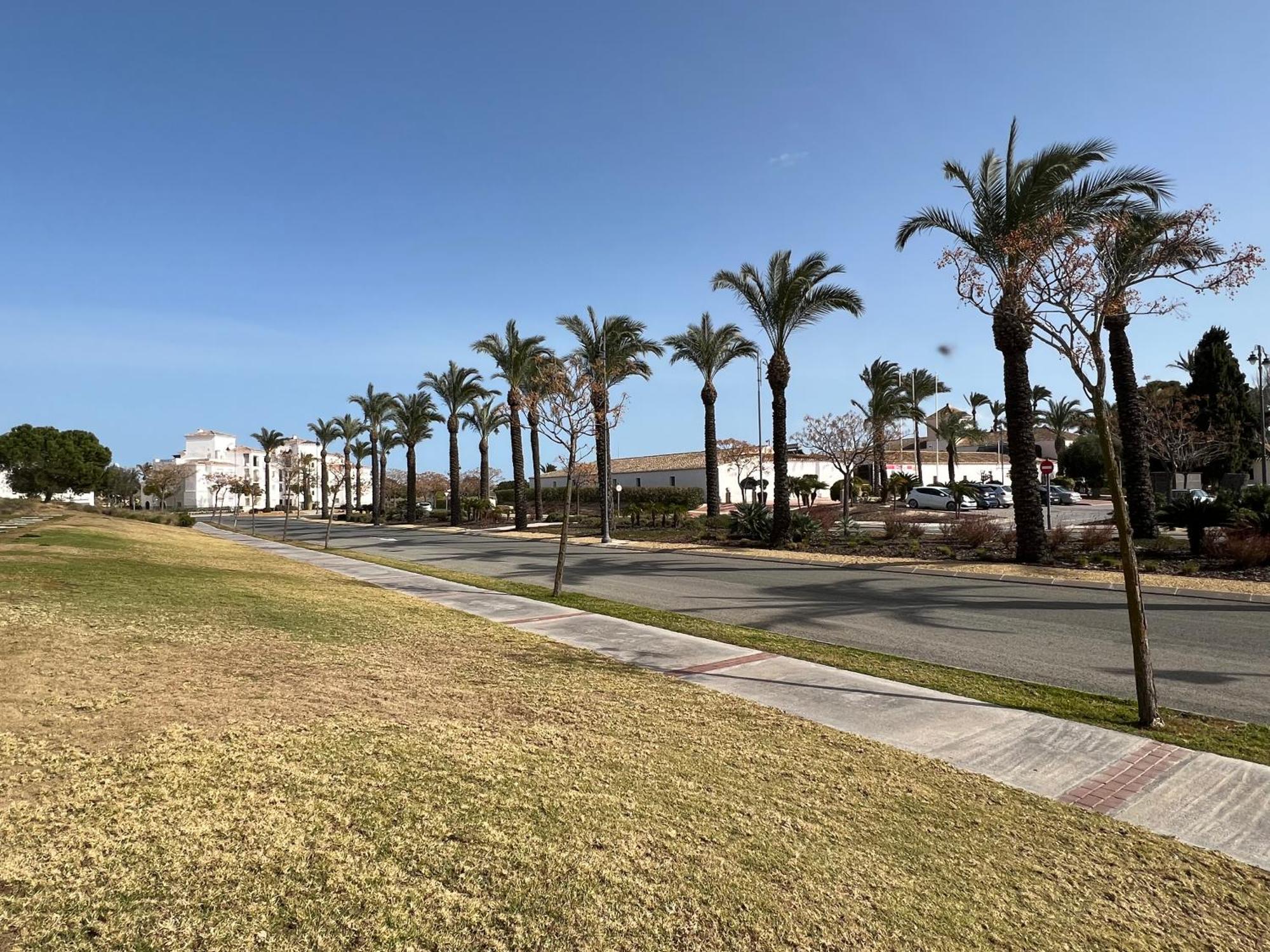 Apartment In Hacienda Riquelme Golf Resort Sucina Eksteriør billede